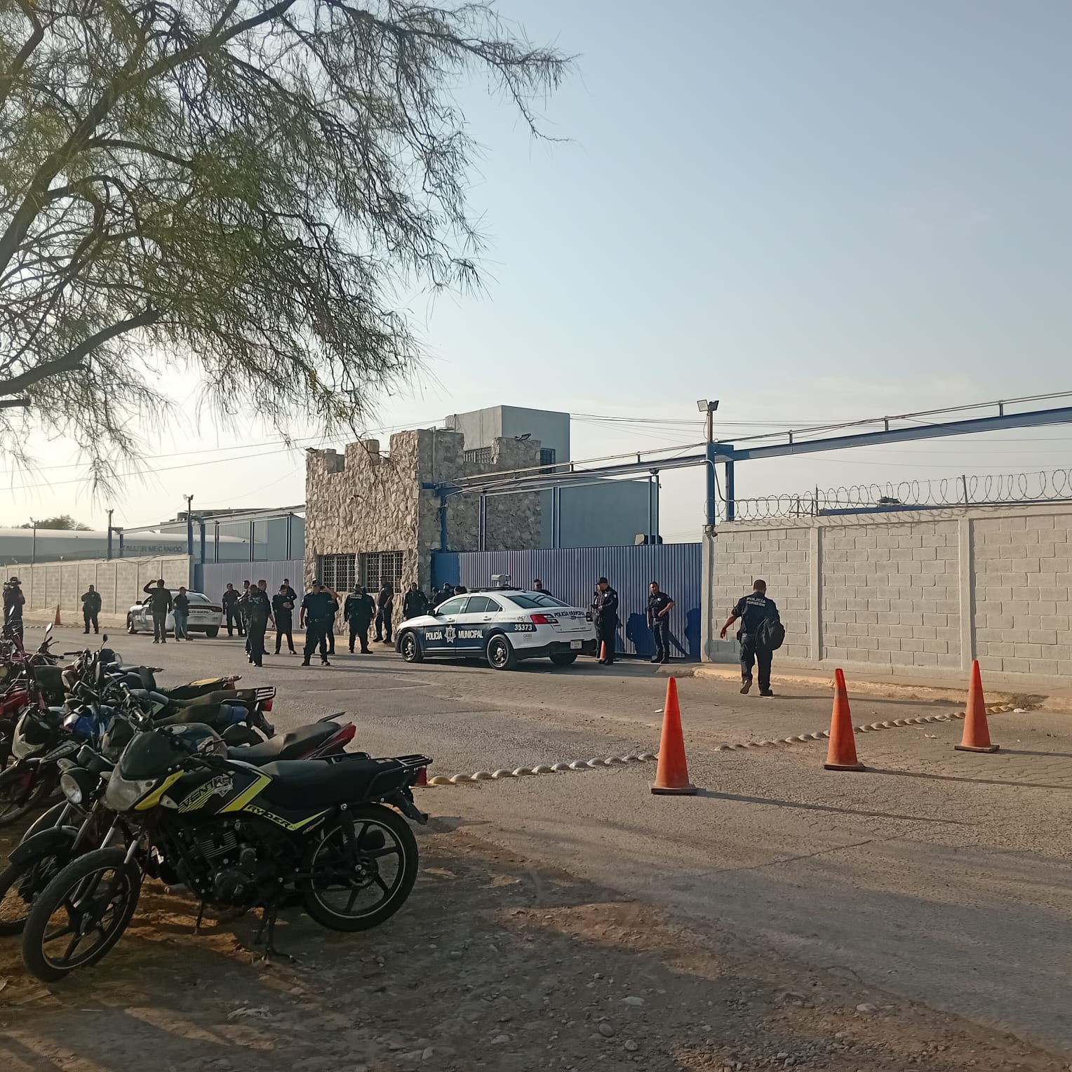 819a7bb0-dd0a-46a8-817c-9307b83ea4ad.jfif