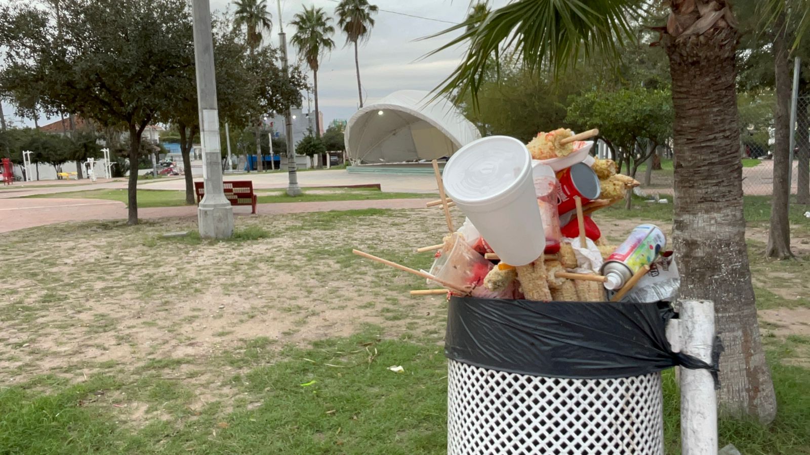 819b3df7-da47-4dc1-b9af-80d1b3e4a4c6.jfif