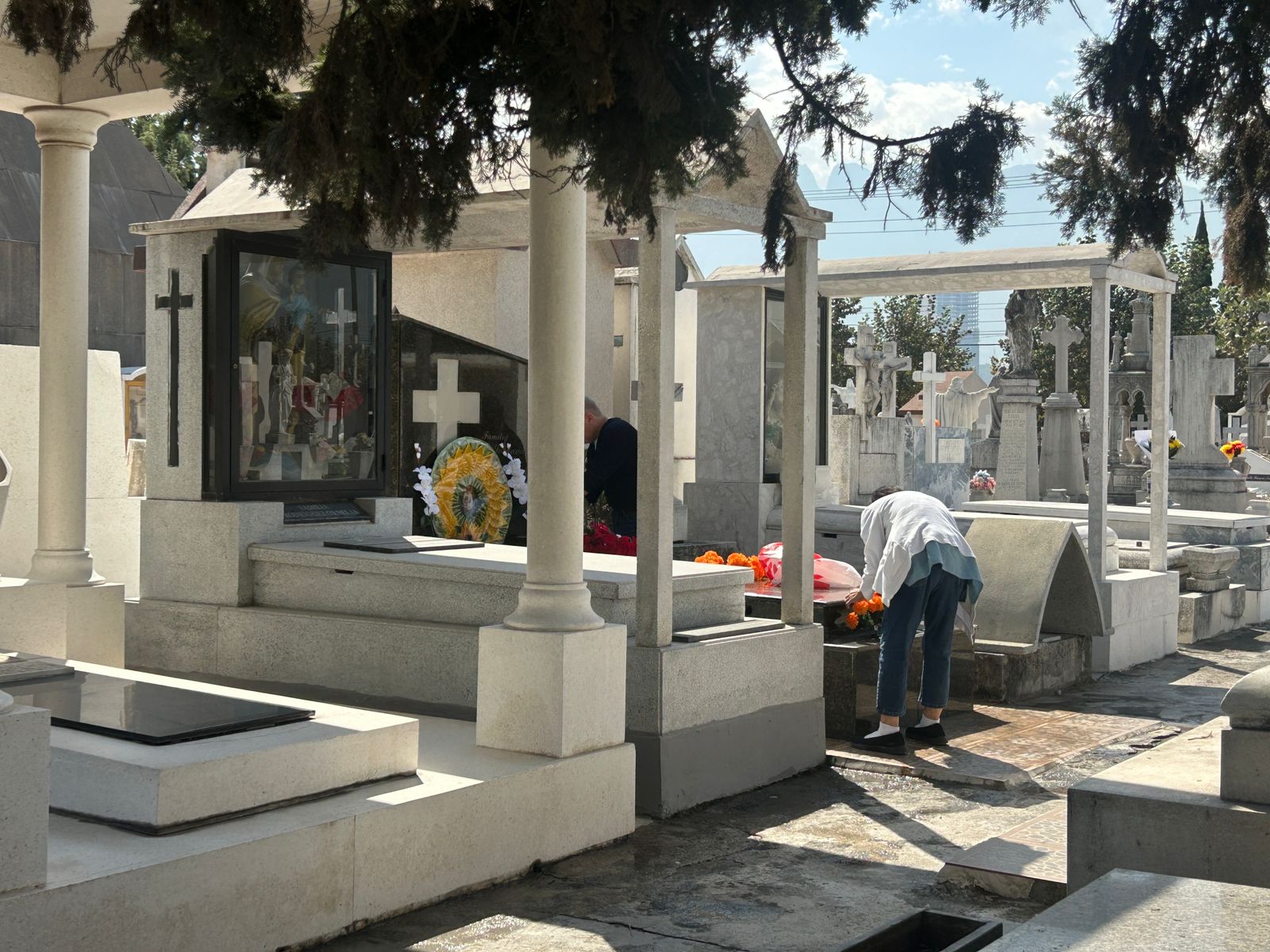 83c53b0f-8f68-41c1-82ba-127d73c2c390.jfif