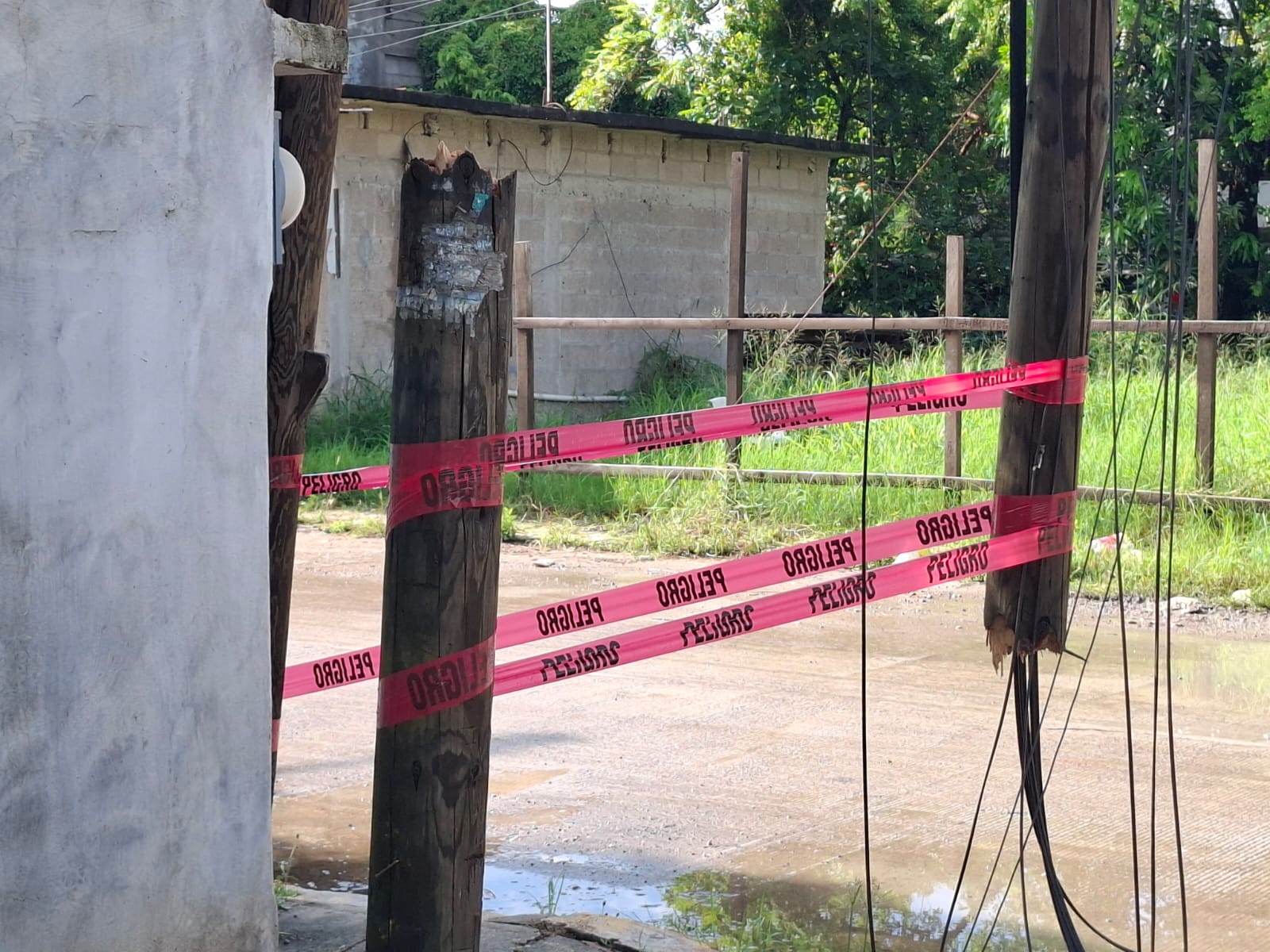 84816356-07dd-4d8d-aa36-ead36098d790.jfif