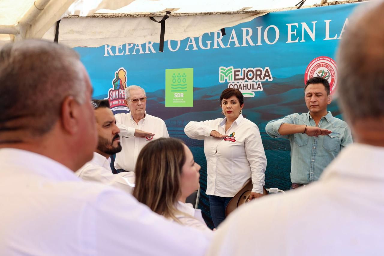 898d703a-ae6d-43fd-b077-aa0c4746a0e1.jfif