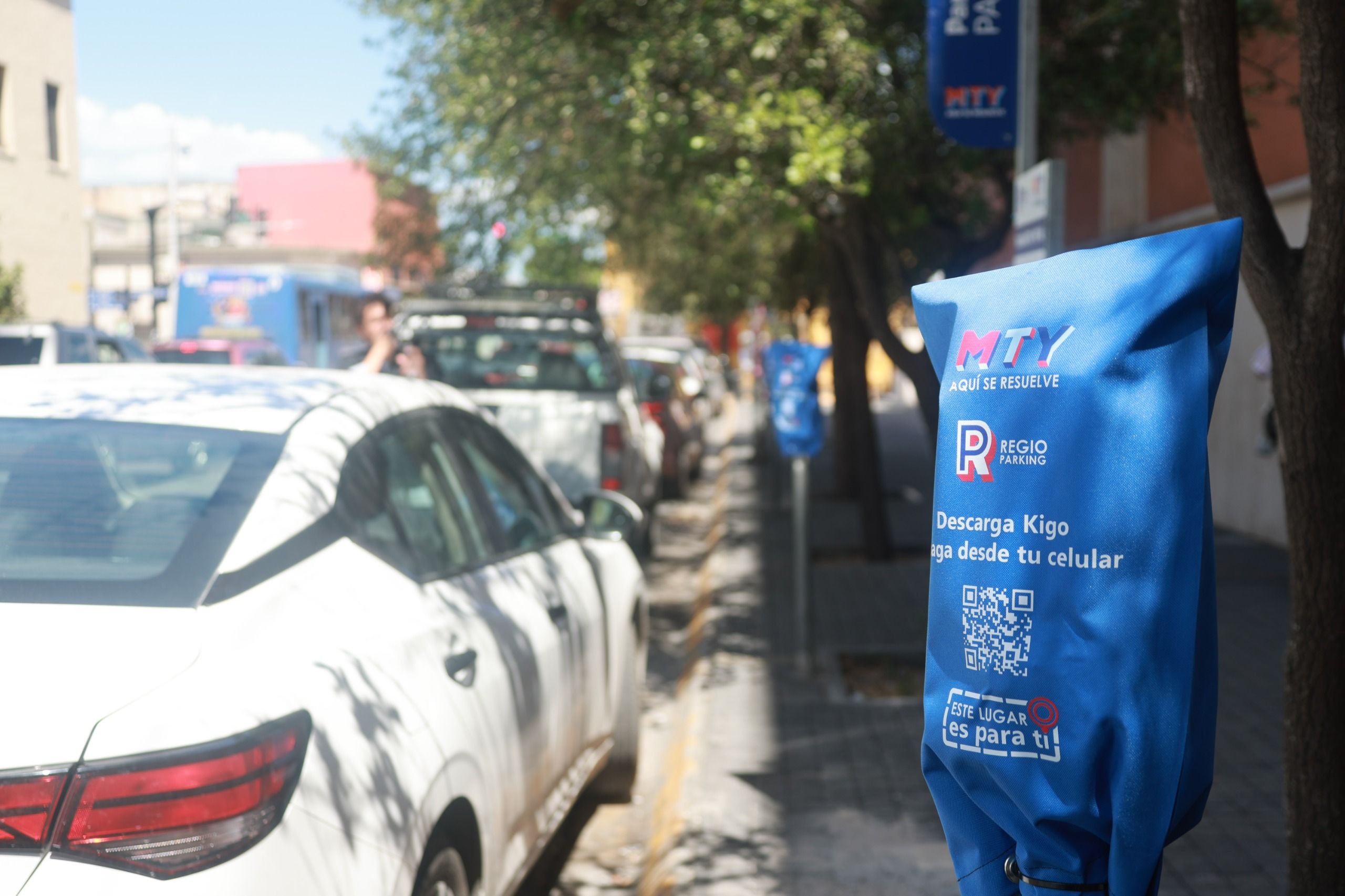 8dee5ed8-4dd6-4103-bed8-6f616d5cdb64.jfif