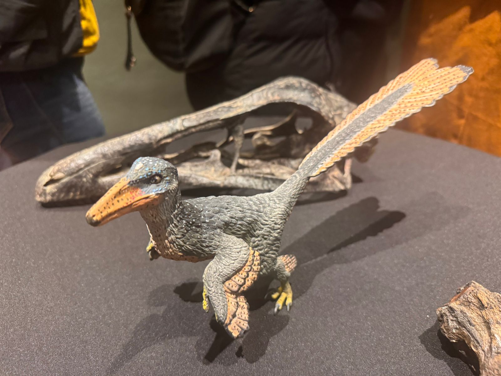 987d6721-a3a1-451b-a706-e5650e8f0580.jfif