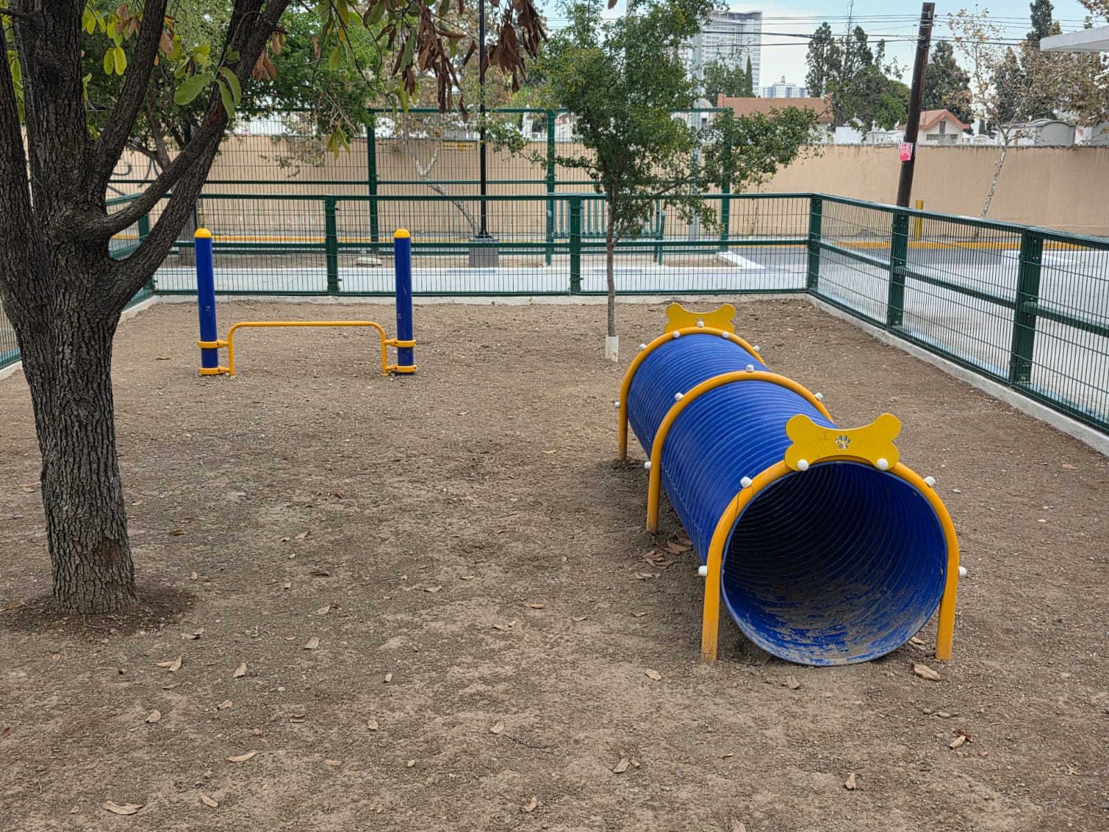 9ad3f08c-c154-4a87-ba74-f1c90b4e32bf.jfif