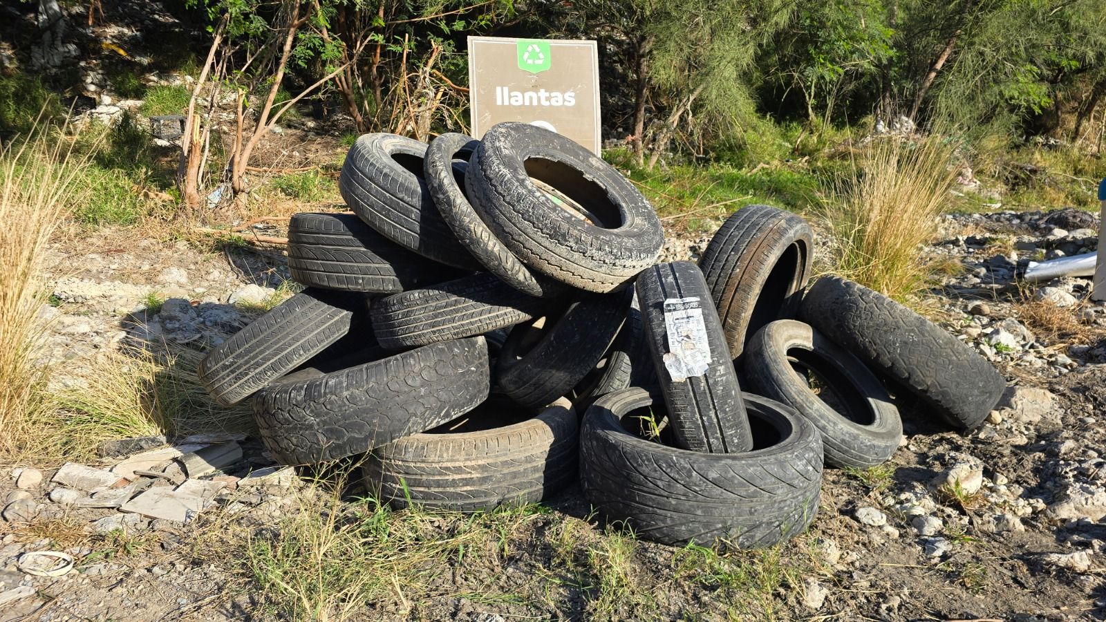 9b71af9f-b9cd-411b-a535-6aacef804be8.jfif