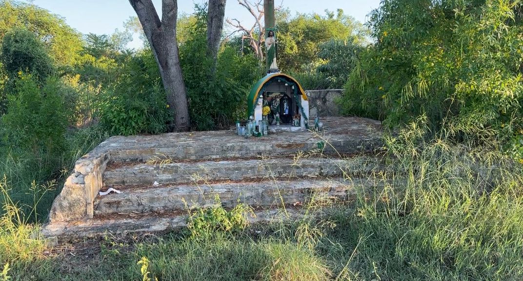 9b780330-fe33-4abd-8199-d873fecd4084.jfif