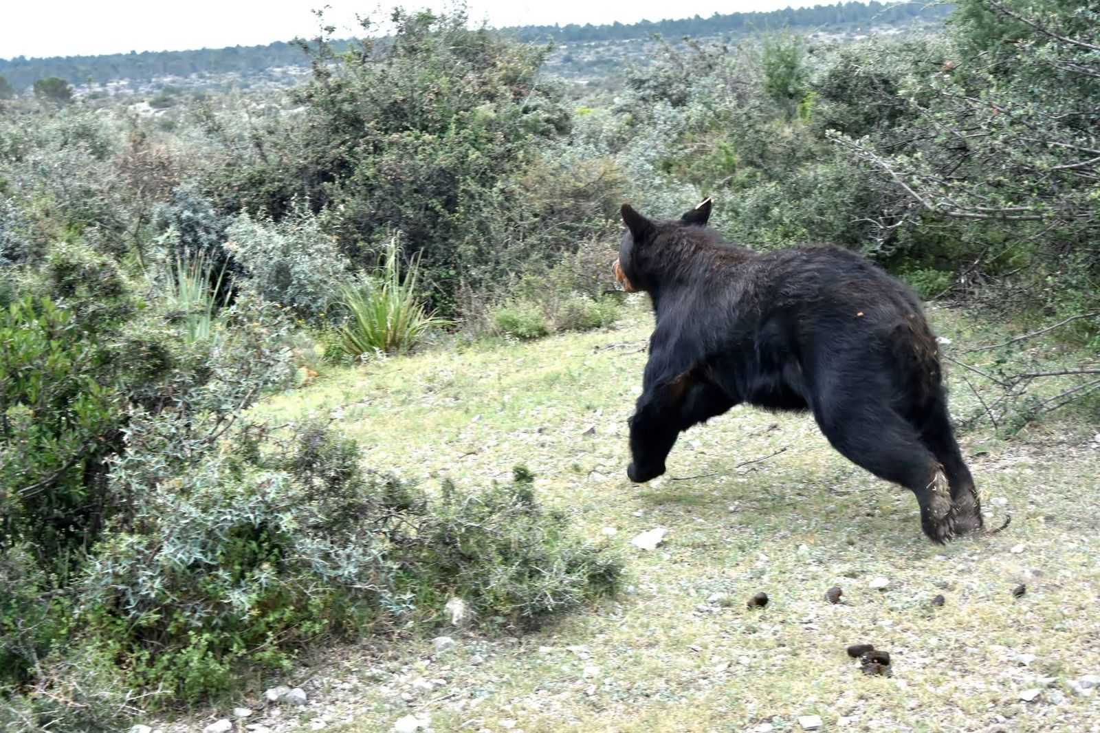 9e90f38c-efa7-42b9-8ad6-849d3ed9ff10.jfif