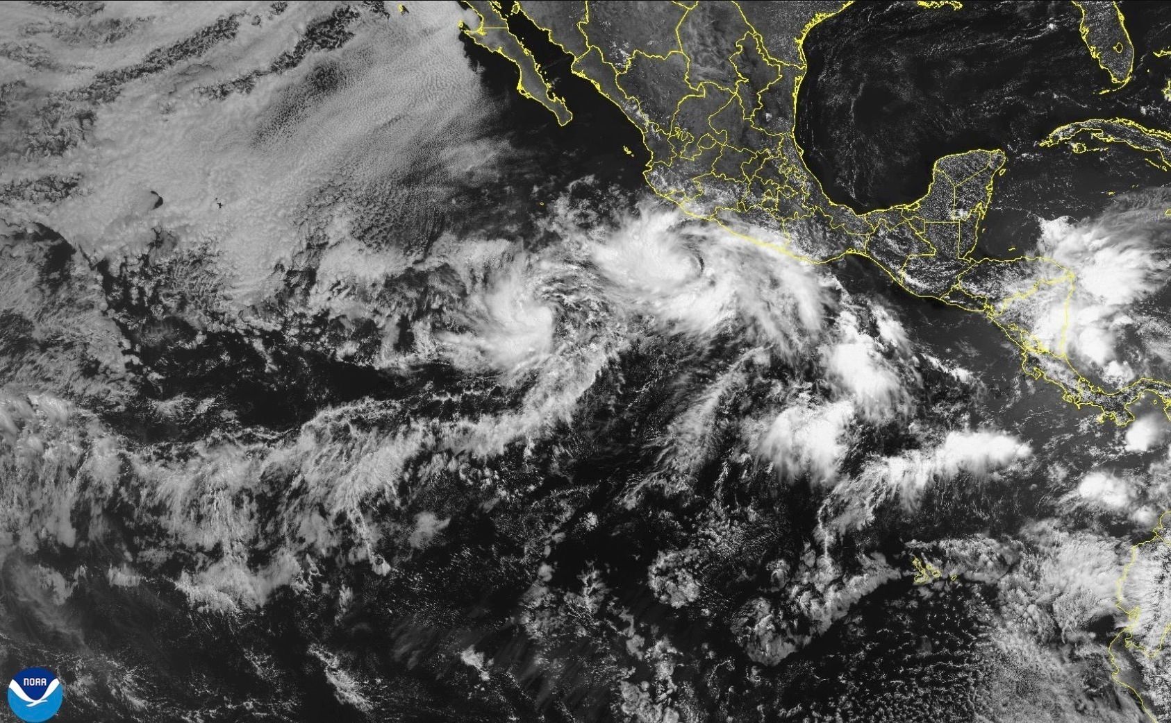 AP25159673806478.jpg