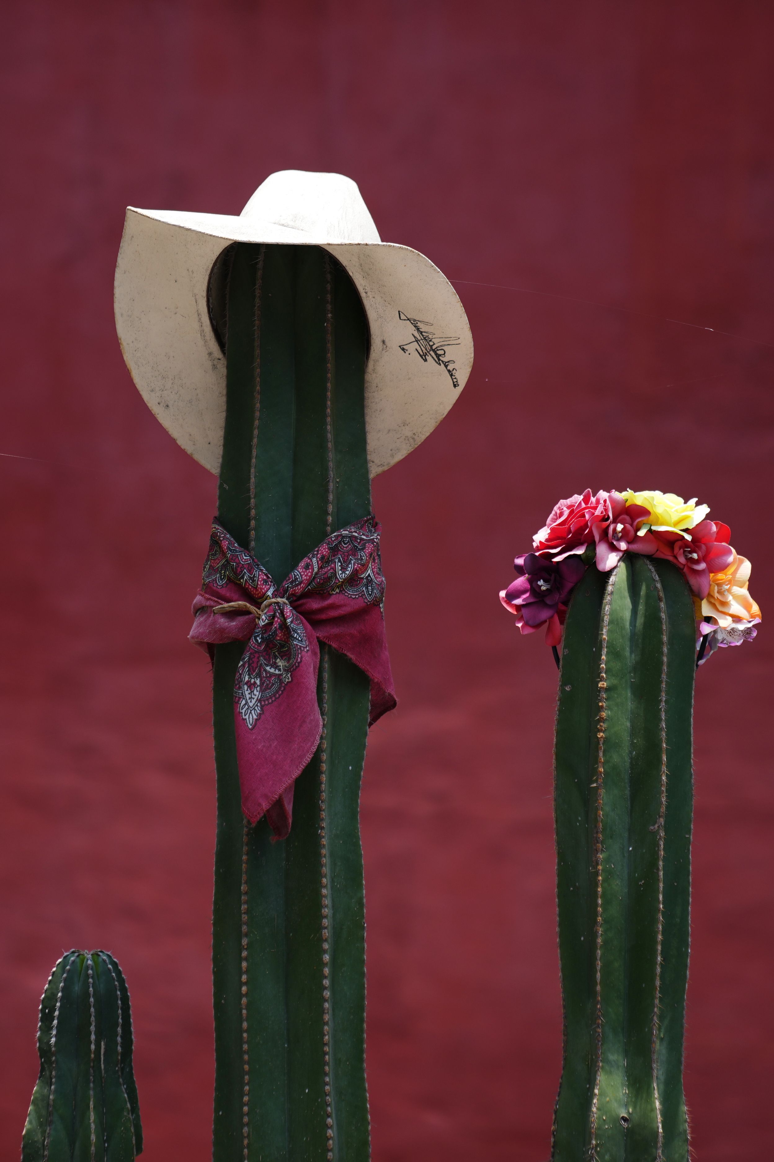escena-exposicion-firda.jpg
