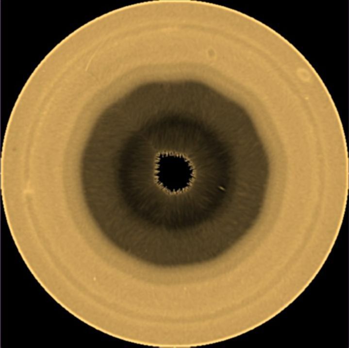 AP26245675900585.jpg