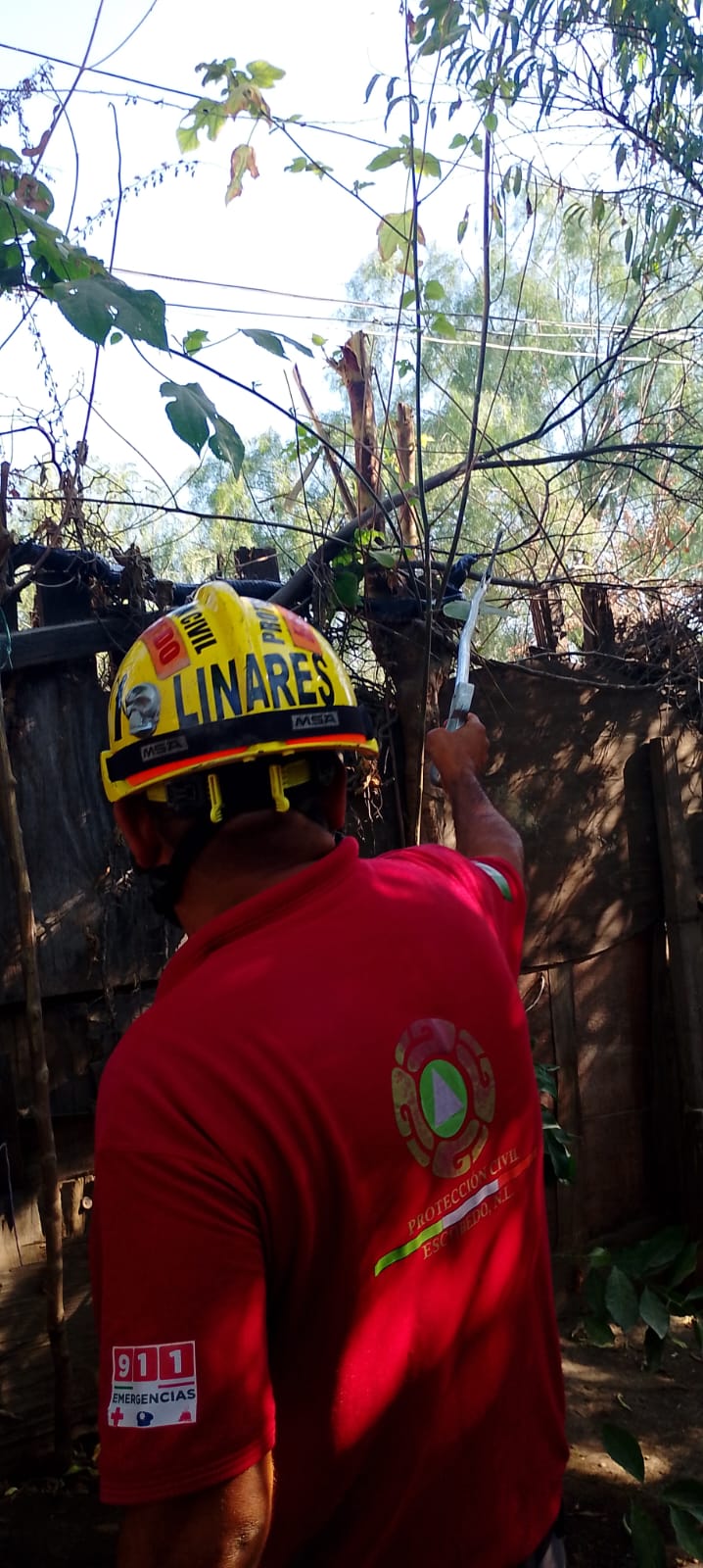 ATRAPA PROTECCIÓN CIVIL 