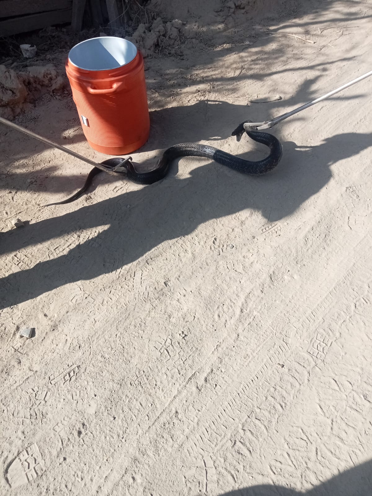 ATRAPA PROTECCIÓN CIVIL 