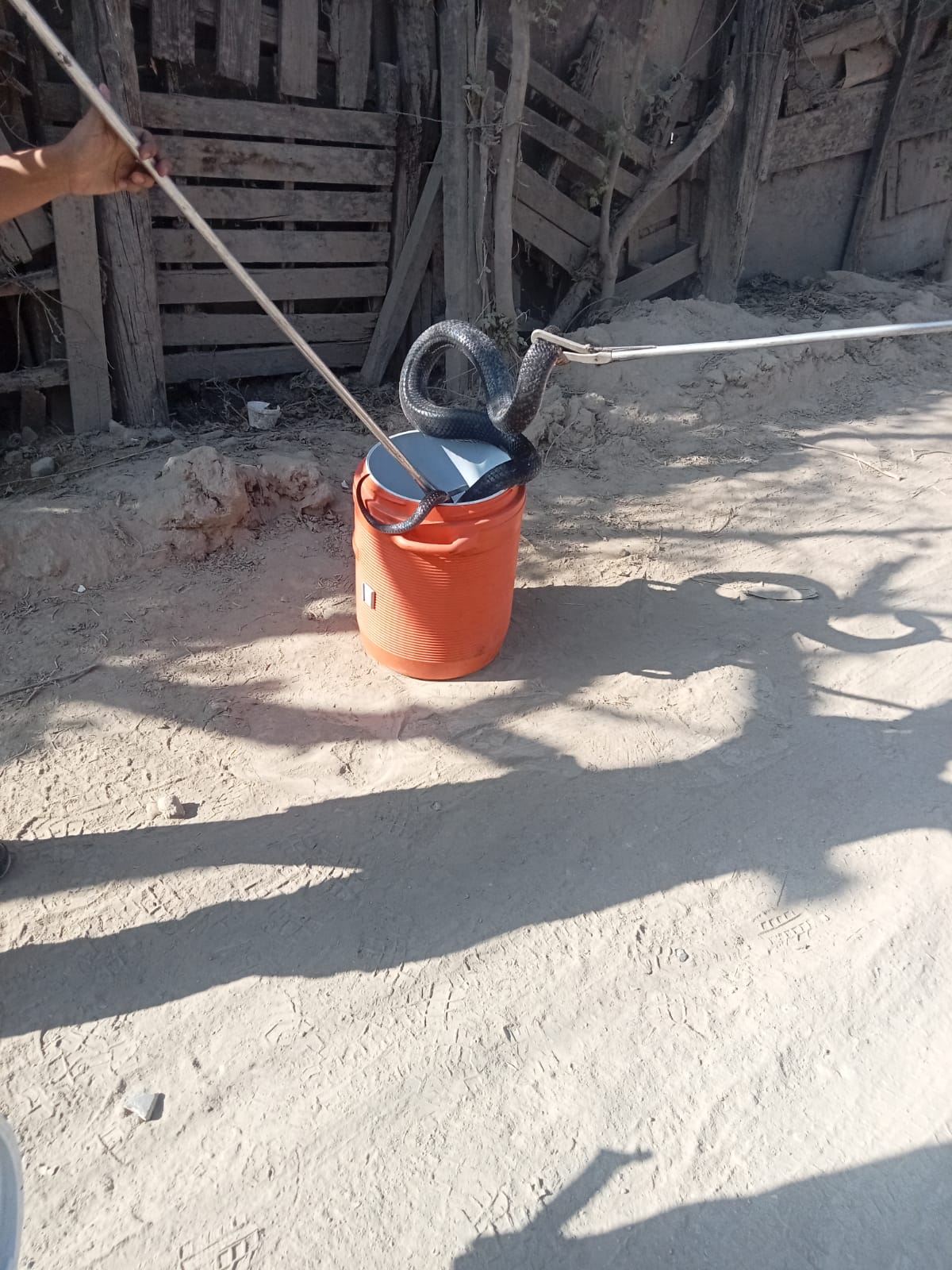 ATRAPA PROTECCIÓN CIVIL 