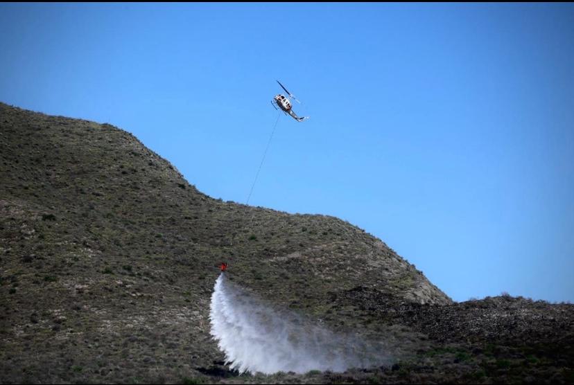 Activan Brigada Fénix ante peligro de incendios forestales