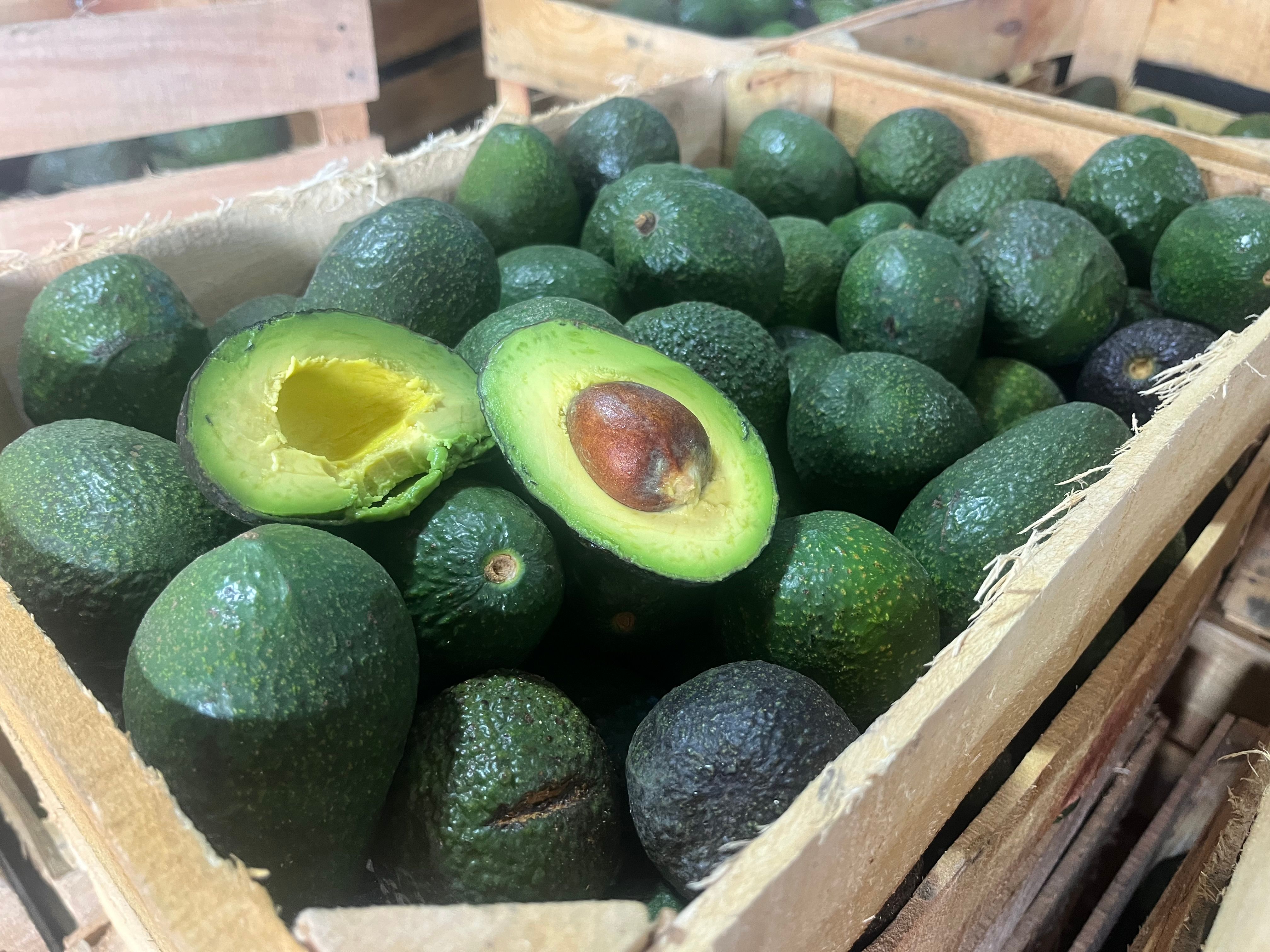 Aguacate
