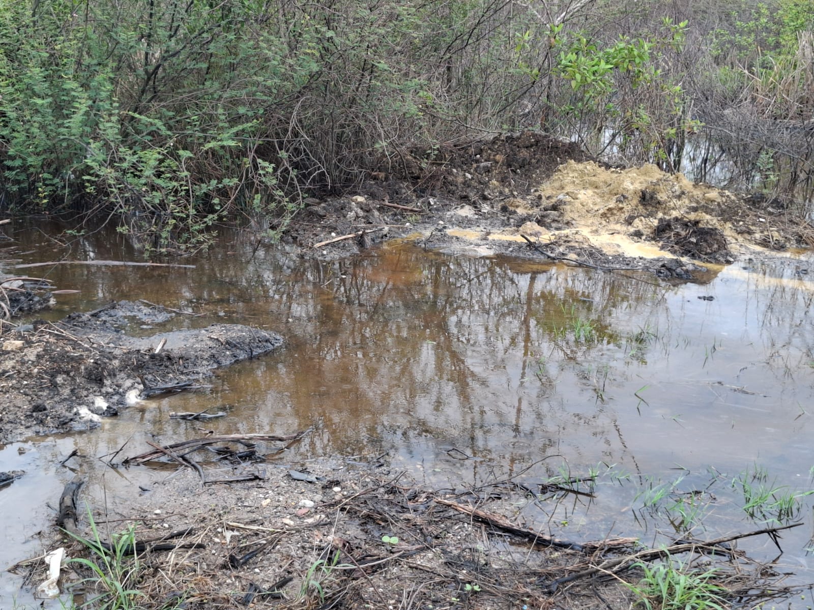 Amenaza derrame de hidrocarburo contaminar laguna de Altamira