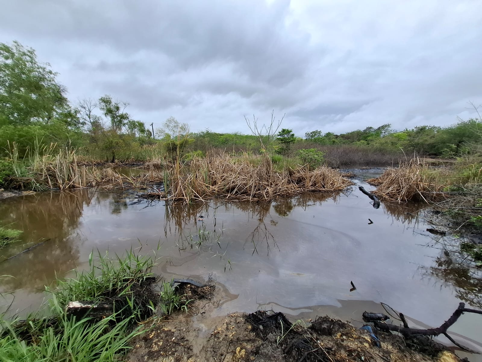 Amenaza derrame de hidrocarburo contaminar laguna de Altamira
