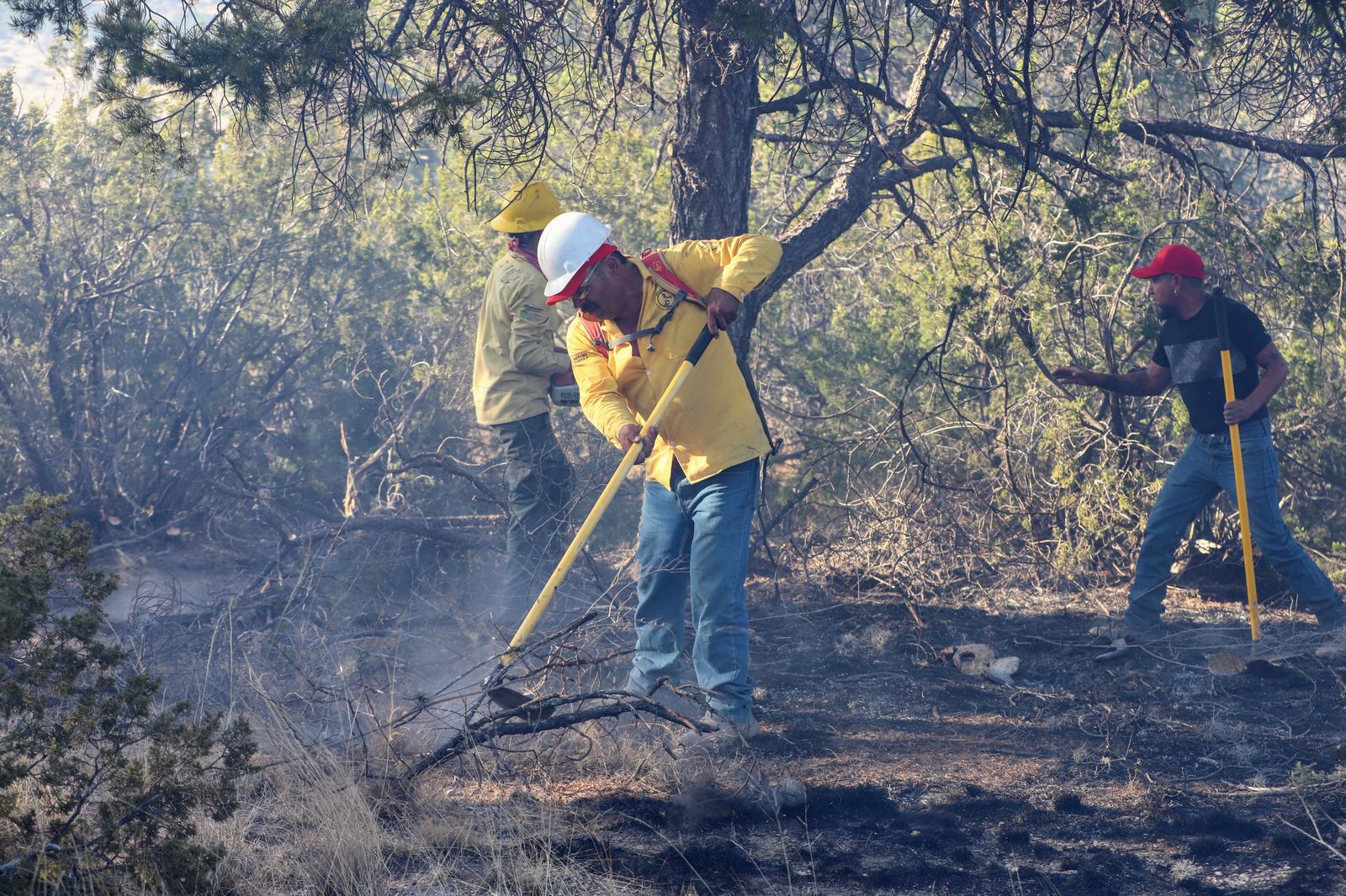 Arteaga cierra 2025 con incendio forestal casi sofocado.jpg