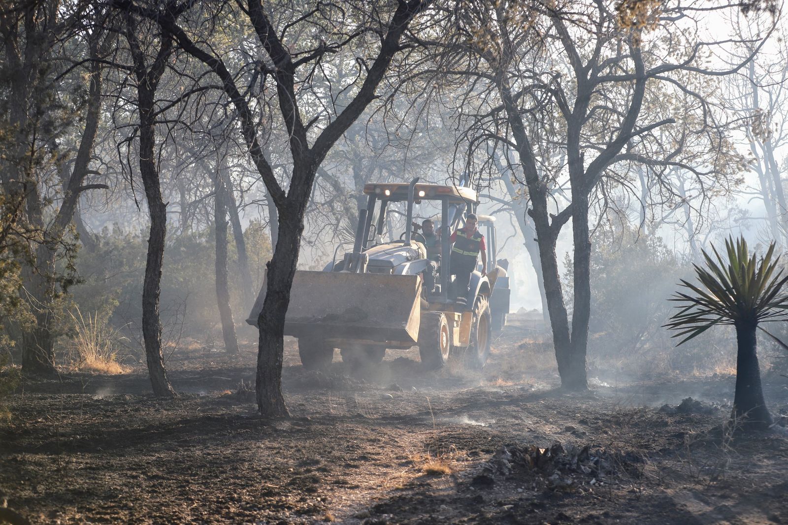 Arteaga cierra 2025 con incendio forestal casi sofocado.jpg
