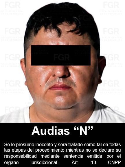Audias Jardinero