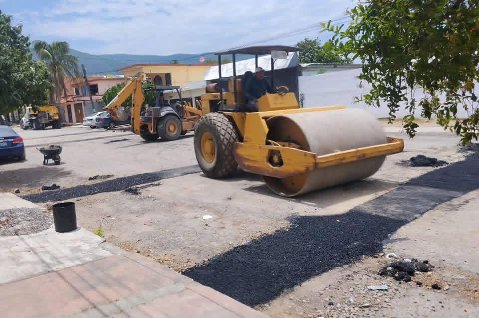 BACHES VICTORIA.jpeg