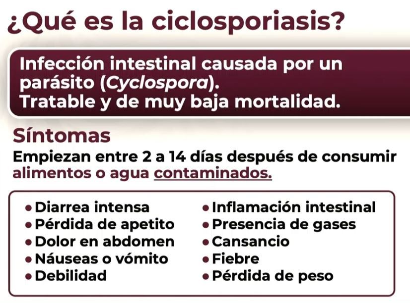CICLOPLA.JPG