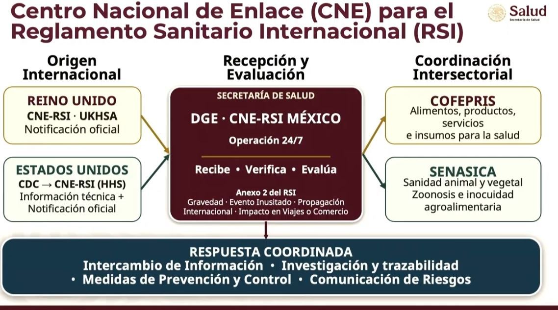 CNE.JPG