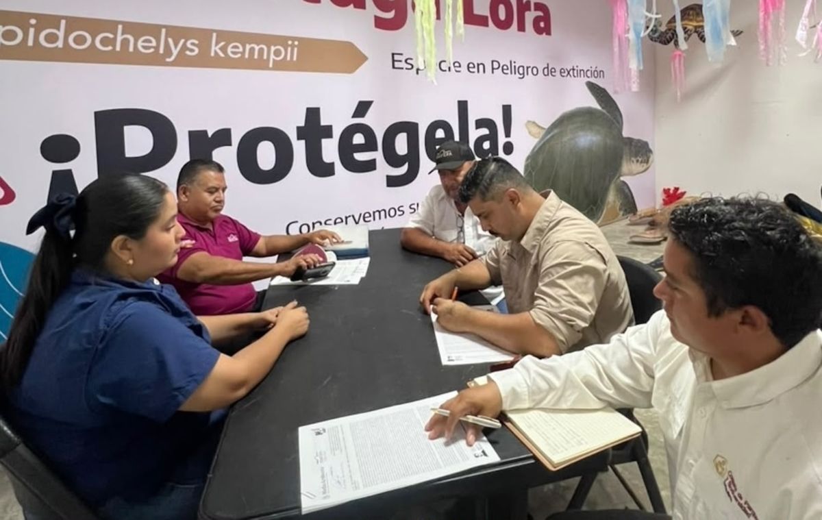 CPB-045-2026.-Refuerzan-vigilancia-y-proteccion-de-tortugas-marinas-en-campamentos-de-Tamaulipas-5.jpeg