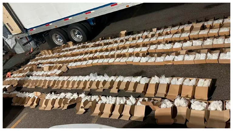 Cae joven por transportar más de una tonelada de droga en BC