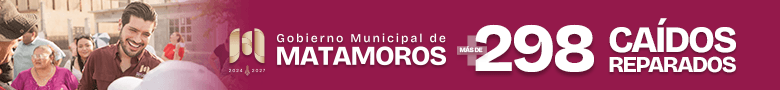 Banner Tamaulipas