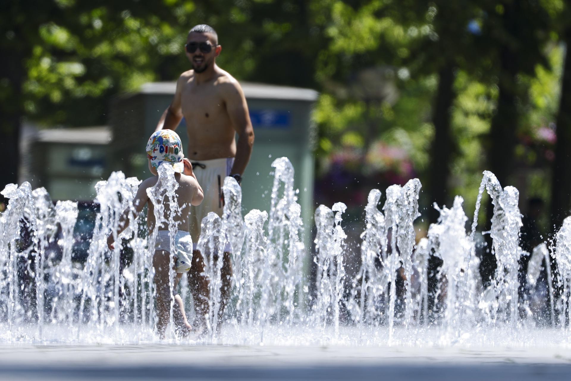 Calor en Europa: ocho muertos, incendios y peces muertos