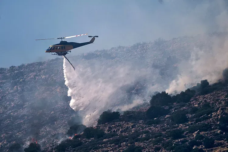 Calor en Europa: ocho muertos, incendios y peces muertos