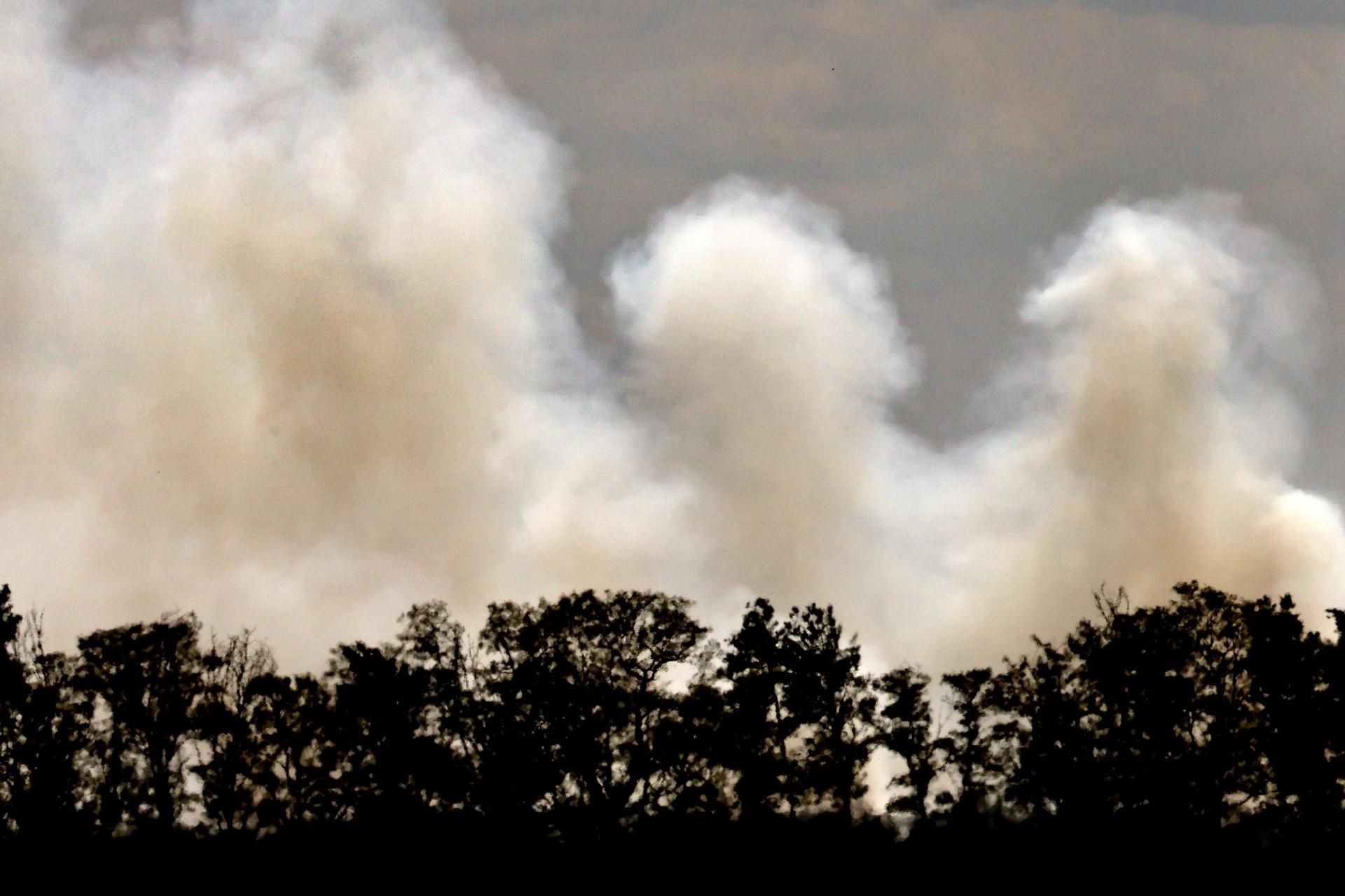 Calor en Europa: ocho muertos, incendios y peces muertos
