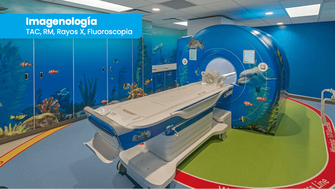 Captura de pantalla 2025-02-24 a la(s) 8.49.31 p. m..png