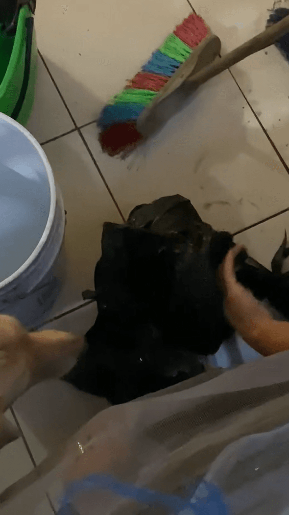 Captura de pantalla 2025-05-02 130336.png