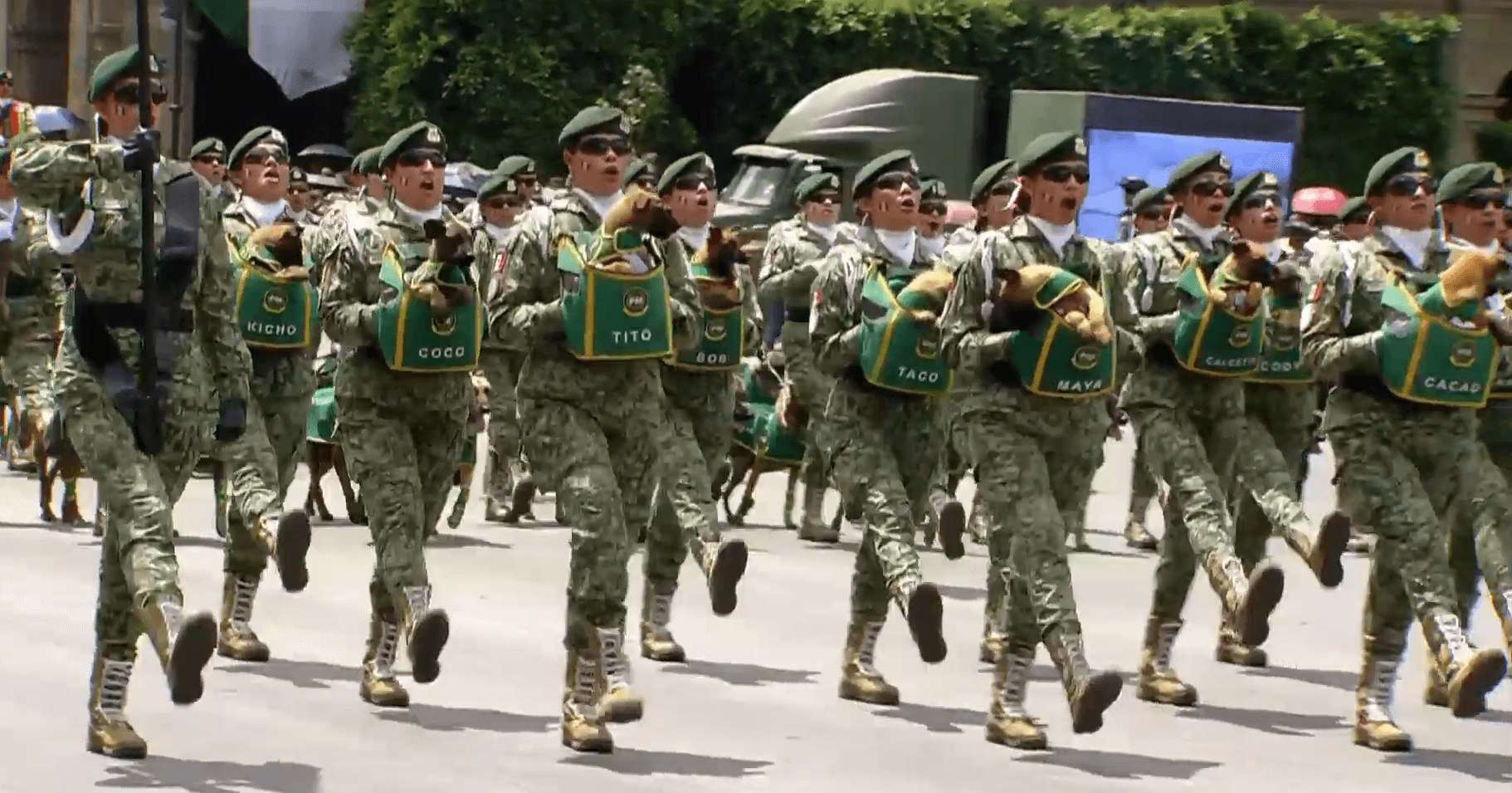 Captura de pantalla 2025-09-16 121837.png