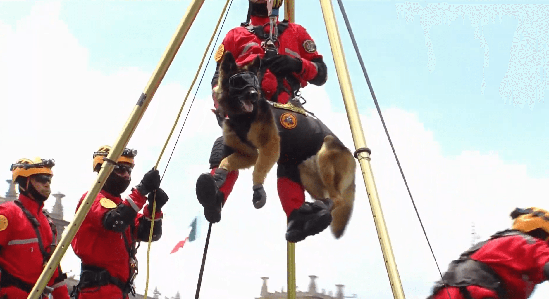 Captura de pantalla 2025-09-16 130816.png