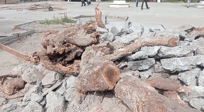 Captura de pantalla 2025-09-20 154341.png