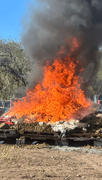 Captura de pantalla 2025-11-07 111115.png