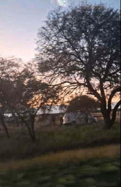 Captura de pantalla 2025-12-21 120910.png