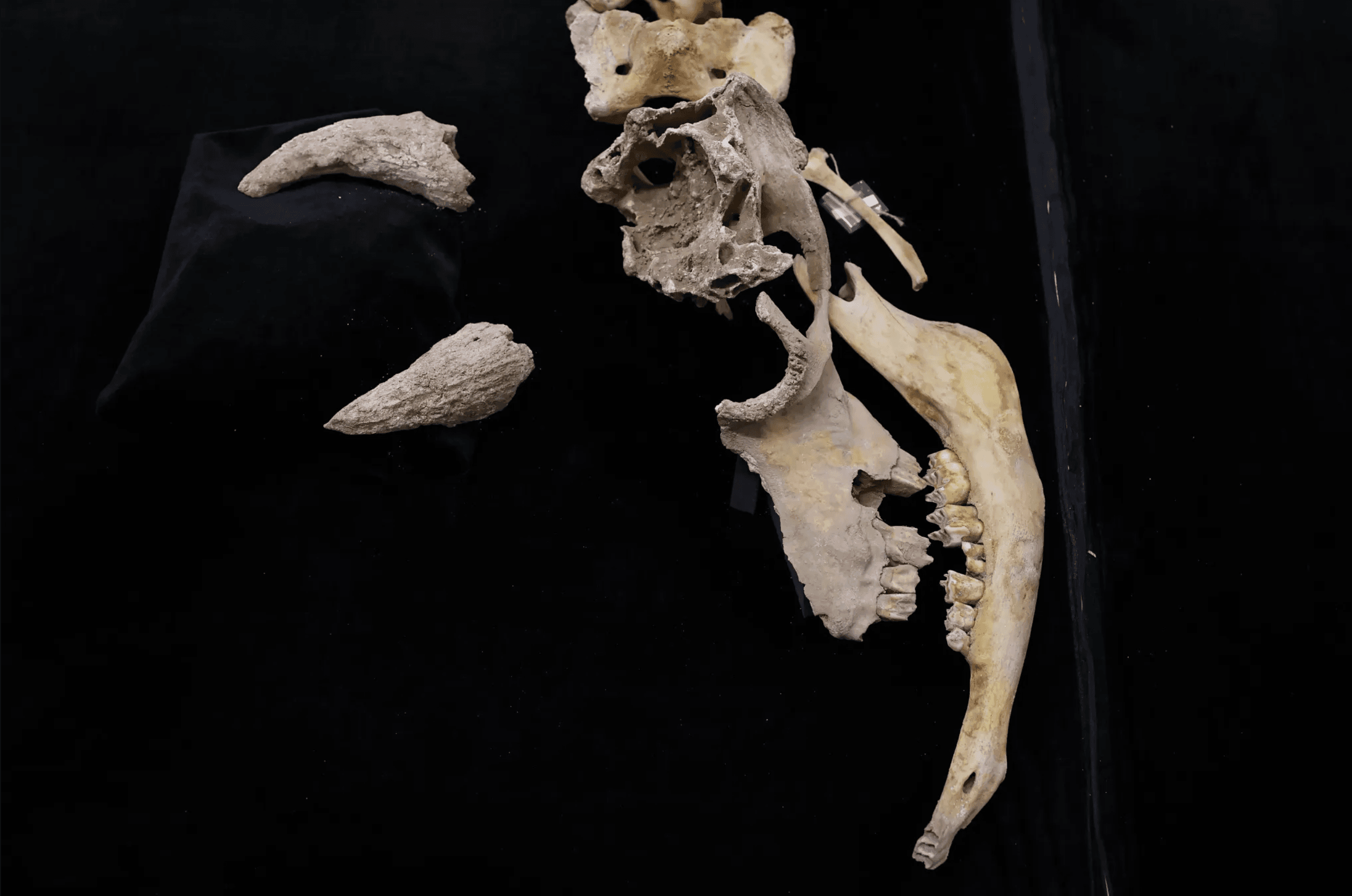 Captura de pantalla 2026-02-09 a la(s) 8.27.32 p.m..png