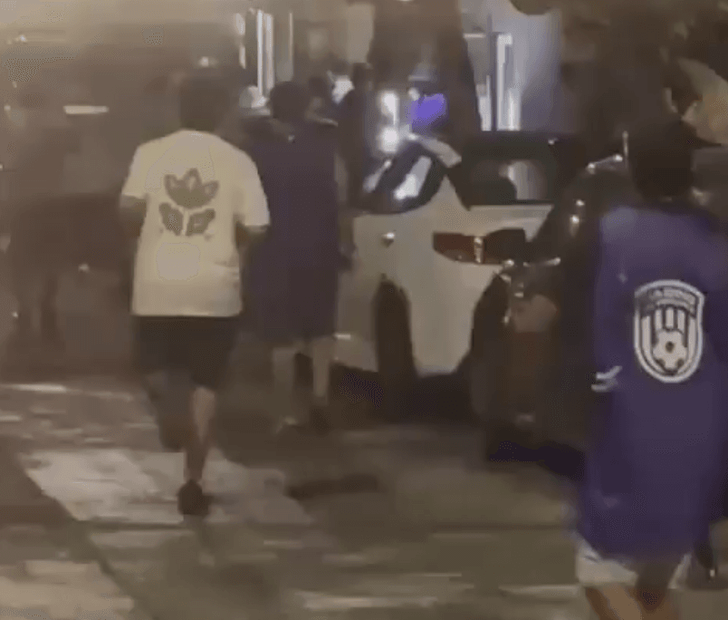 Captura de pantalla 2026-02-22 003835.png