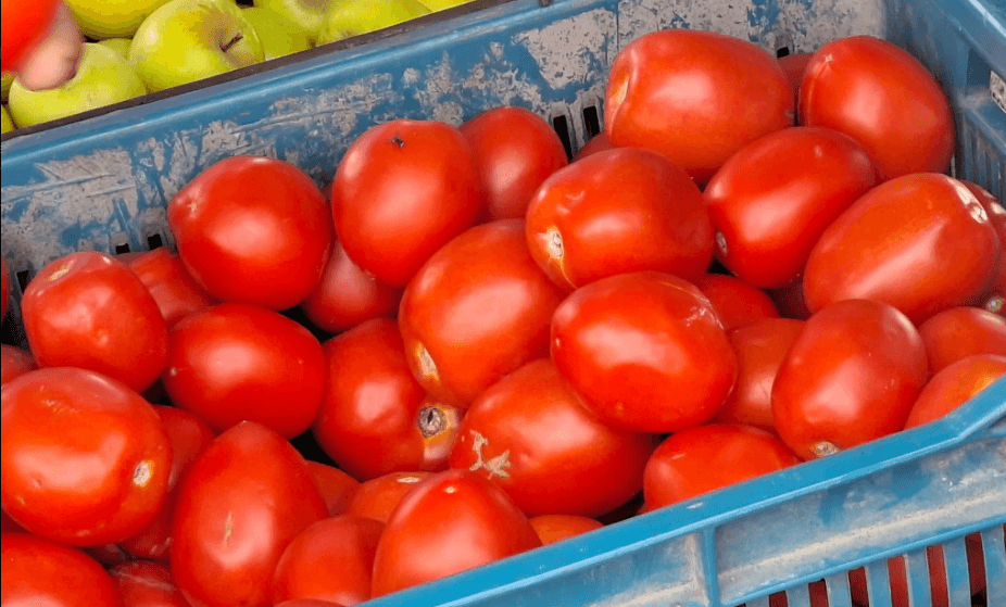 Captura de pantalla 2026-04-15 233842.png