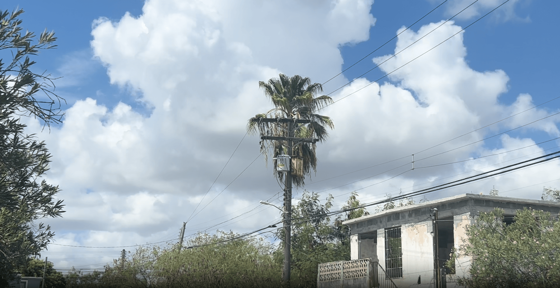 Captura de pantalla 2026-08-17 141552.png