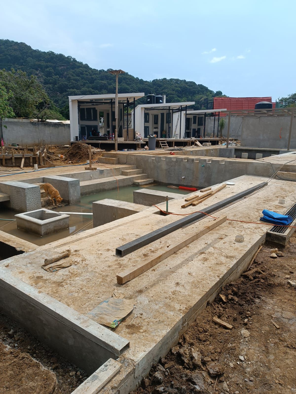 Claus_obra_BosqueDeAgua_Mor_04.jpg