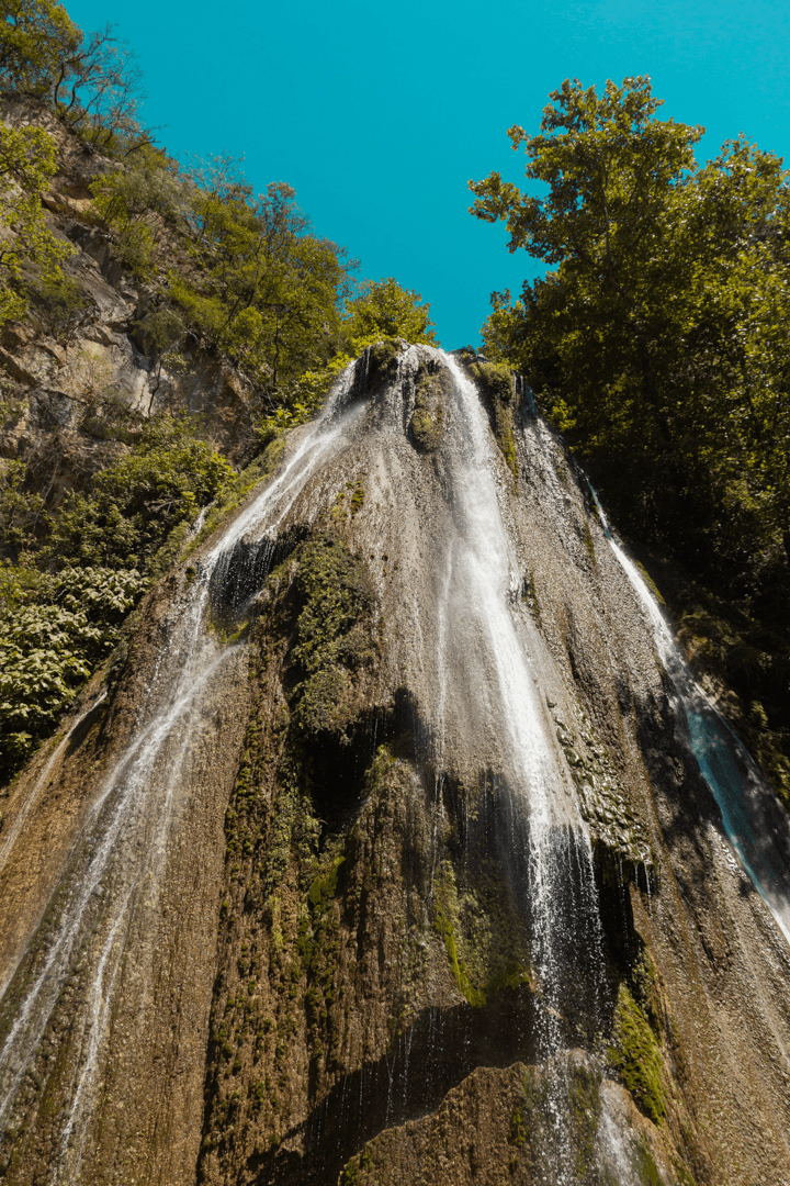 Cola de Caballo2.png