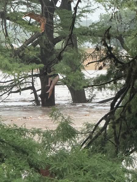 Continua búsqueda de niñas en Texas; hay dos mexicanas