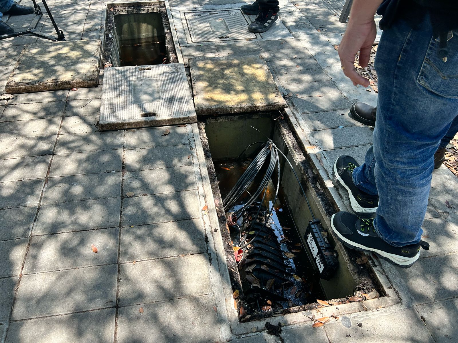 Denunciarán a Miguel Treviño por mal cableado en Centrito