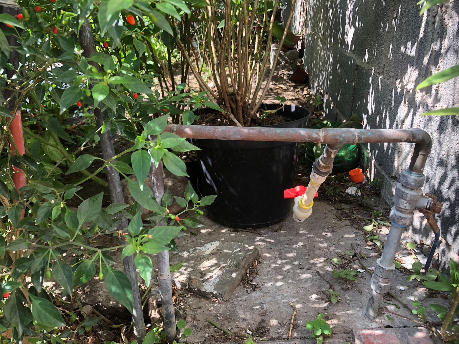 Detectan conexiones ilegales de agua en Reynosa