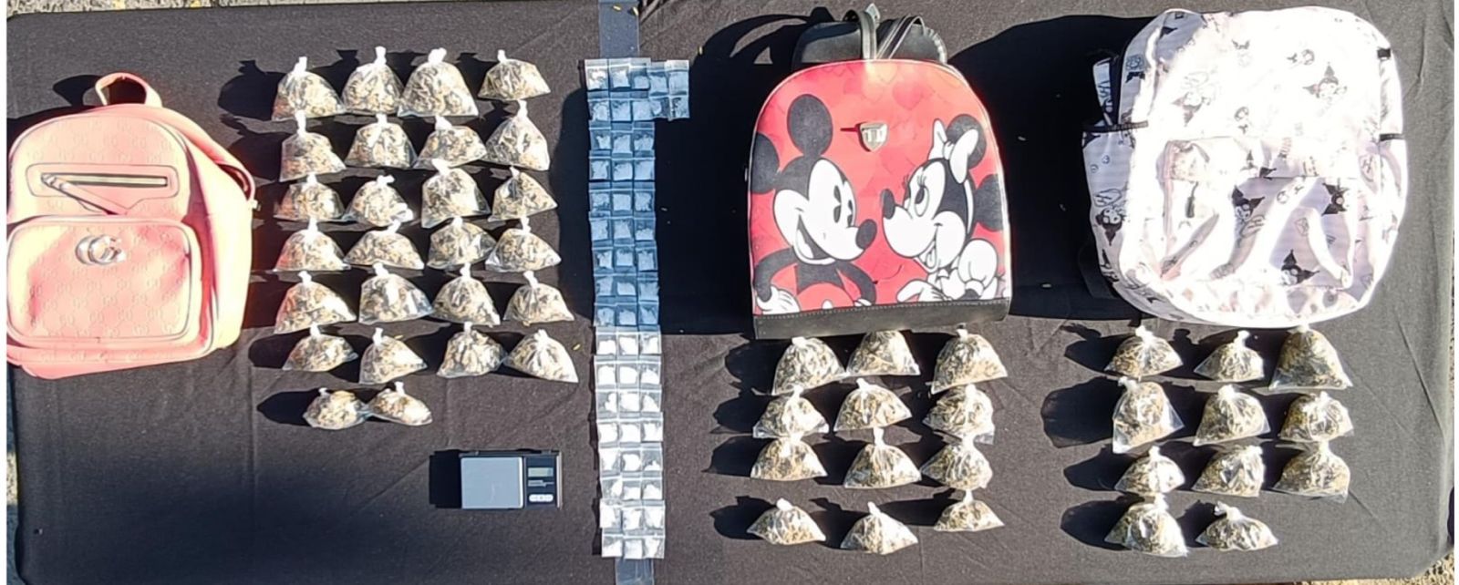 Detienen a generadores de violencia en el área Metropolitana